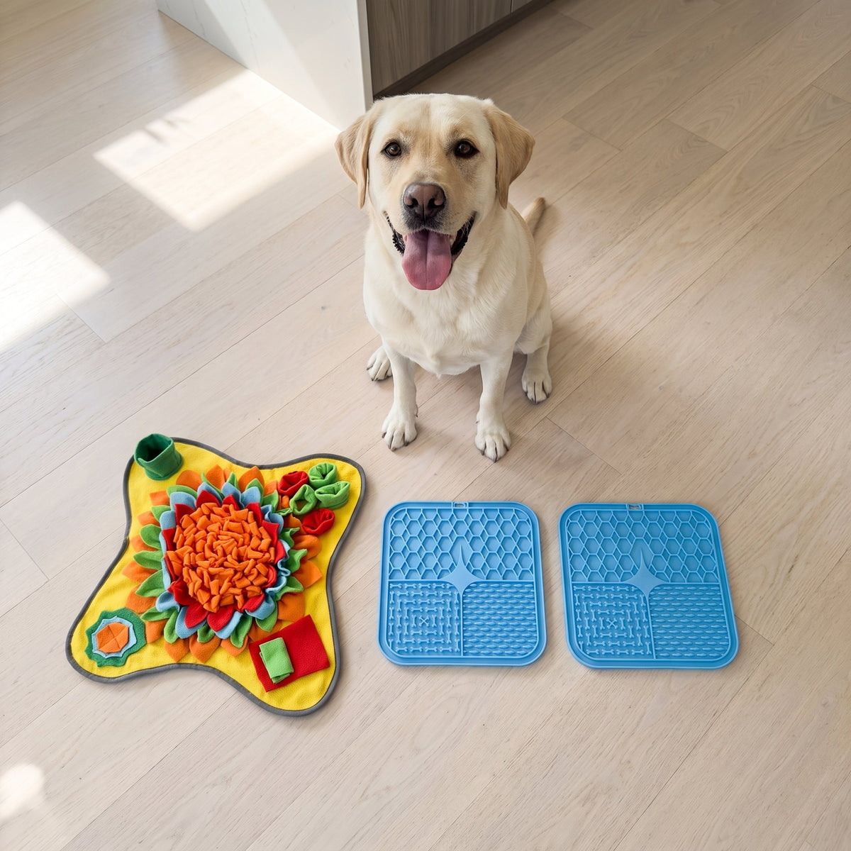 Cream Labrador sitting behind a snuffle mat and two blue lick mats laid out on a pale wood floor